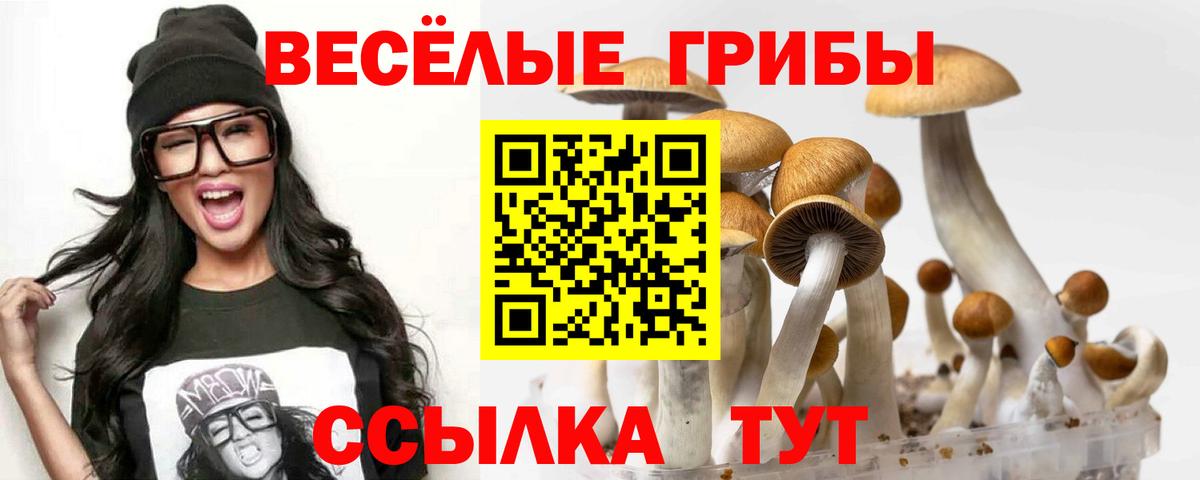 Советская Гавань  Галлюциногенные грибы MAGIC MUSHROOMS  Вход с VPN 